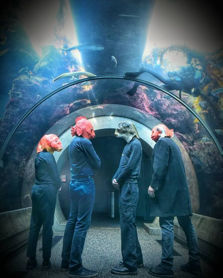 Koi Division Aquarium